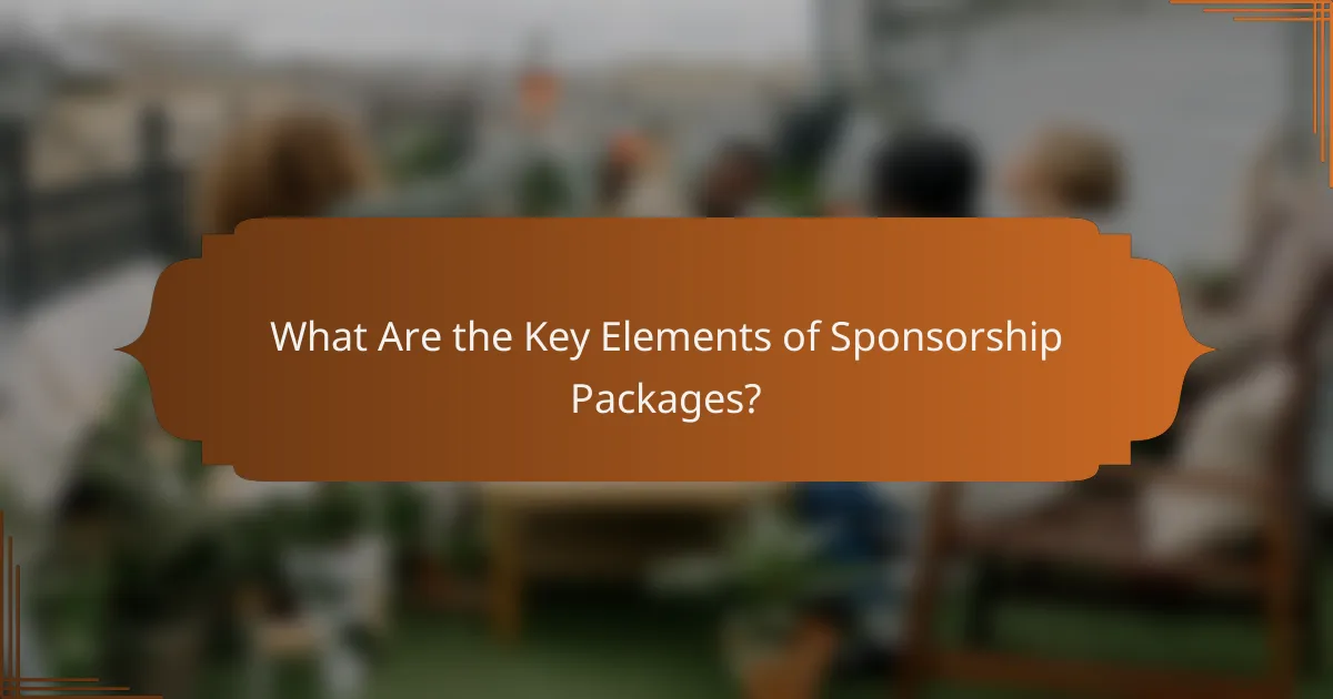 What Are the Key Elements of Sponsorship Packages?