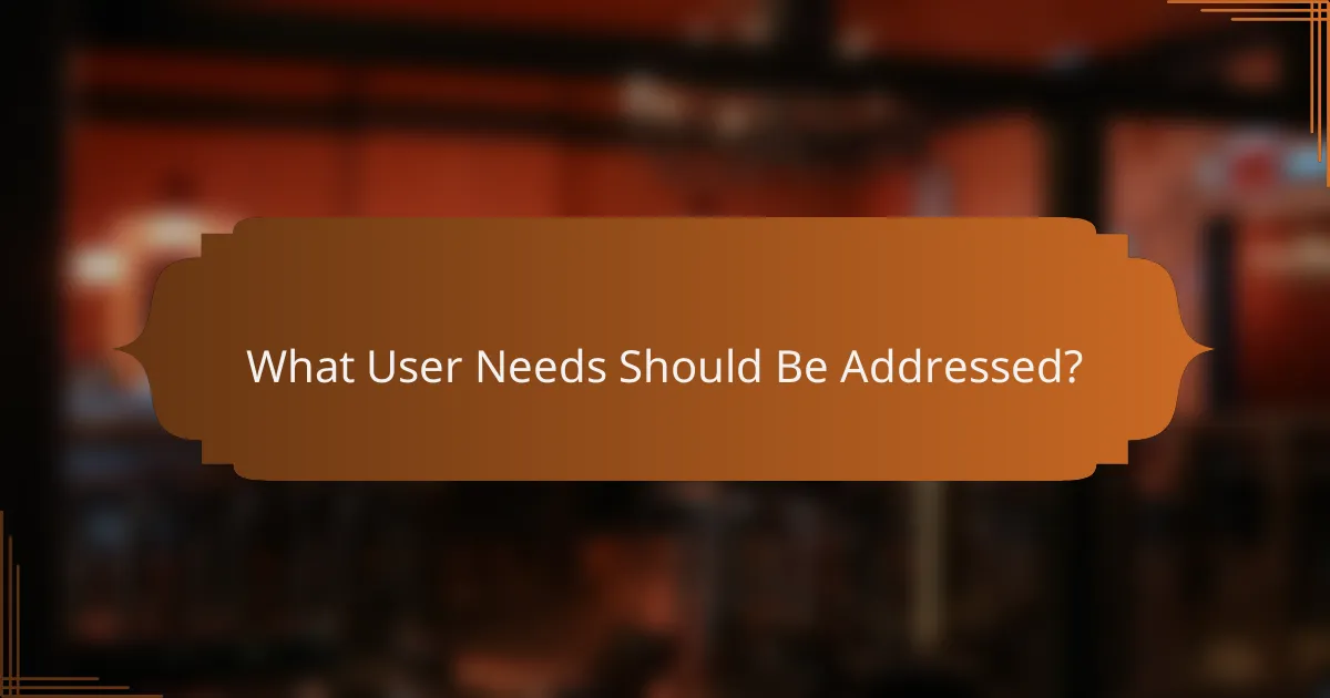 What User Needs Should Be Addressed?