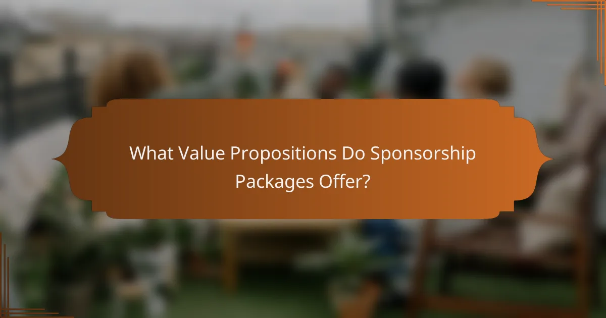 What Value Propositions Do Sponsorship Packages Offer?